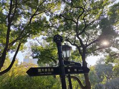 -中山公园