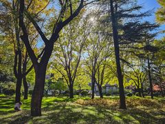 -清华大学-甲所餐厅