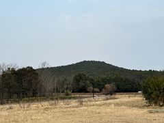 -秦始皇帝陵博物院-丽山园