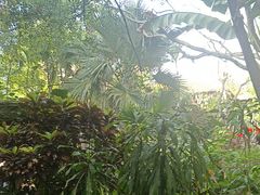 -海南热带野生动植物园