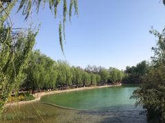 -康庄公园