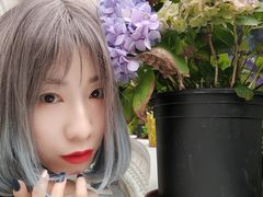 -上海安亭别墅花园酒店