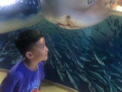 -烟台海昌鲸鲨海洋公园