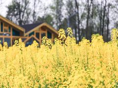 -中国天府农业博览园