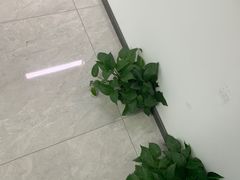 -新航道雅思托福·留学·考研培训(人民广场校区)