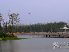 -新江湾城公园