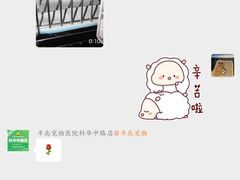 -半岛宠物医院24小时(科华中路店)