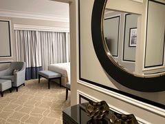 -澳门威尼斯人综合度假区