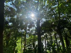 -水濂山森林公园