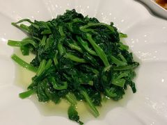 -席家花园(巨鹿花园店)