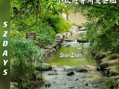 -阳台山森林公园
