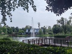 -成飞公园