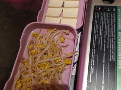 -青炉里青花椒鲜活烤鱼(理工大店)