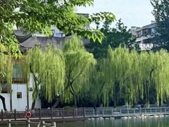 -莲湖公园