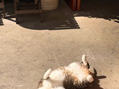 -东钱湖旅游度假区