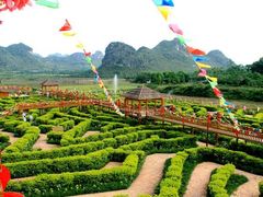 -南宁花花大世界景区