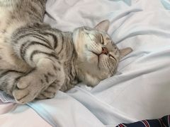 -漓江又一軒·广西菜·桂林米粉(梅林店)