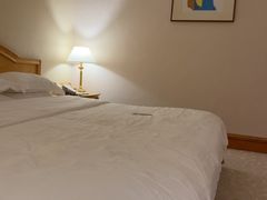 -南京维景国际大酒店(南京博物院店)