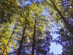 -国家植物园南园