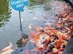 -南昌动物园