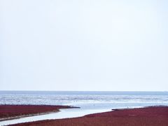 -红海滩国家风景廊道