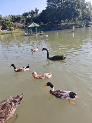 -玄武湖景区-情侣园游乐场