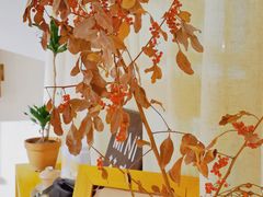 -时光花园(白鹭洲店)