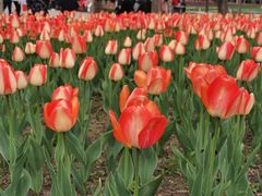 -长春公园(普阳街道)