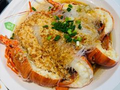 -宝业东城广场(东二环路店)
