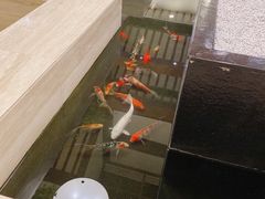 -苏州环秀晓筑养生度假村