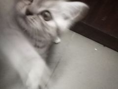 -周浦夜市
