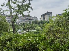 -枫香湖儿童公园