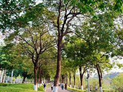-广东花都湖国家湿地公园