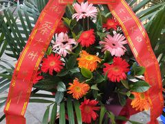 -蔡大胖炸洋芋(神仙树缤纷店)