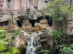 -长鹿旅游休博园