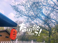 -大水川景区