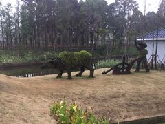 -上海长兴岛郊野公园