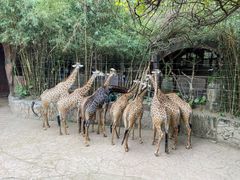 -长鹿旅游休博园