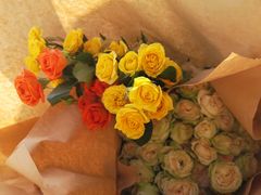 -隹木咖啡馆(宝龙广场店)