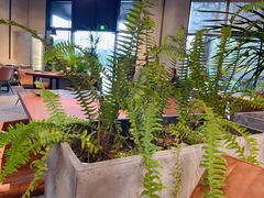 -West10 西拾·西餐厅·创意菜(未来科技城店)