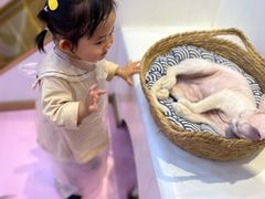 -爪爪喵星球·猫舍(前海卓越店)