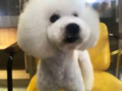 -熊小胖宠物生活馆(天华园店)