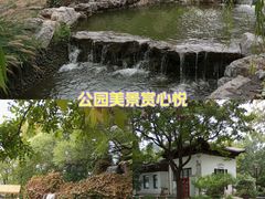 -天津水上公园