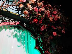 -纳瓦新疆菜(银都店)