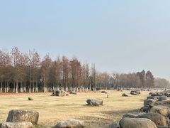 -苏州湾体育公园