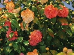 -长沙火车站(地铁站)