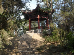 -紫竹院公园冰场