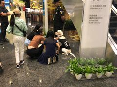 -上海中心大厦