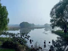 -梁鸿国家湿地公园