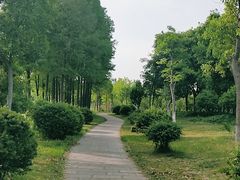 -洪泽湖古堰景区